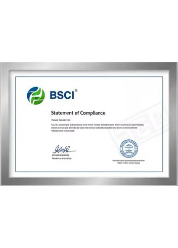 BSCI statement of compliance