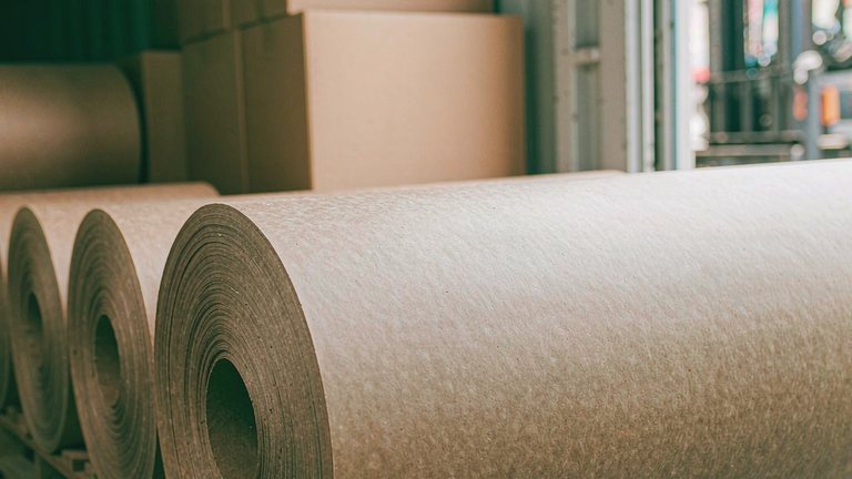 Protection paper rolls being loaded into an export container